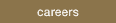 careers link