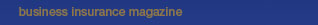 Business Insurance Magazine Link